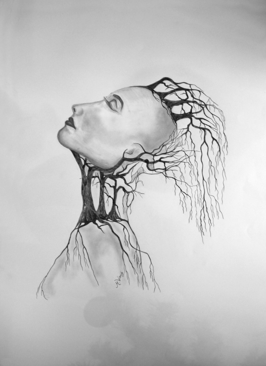 Baumsterben 2 von Monika Wittrich