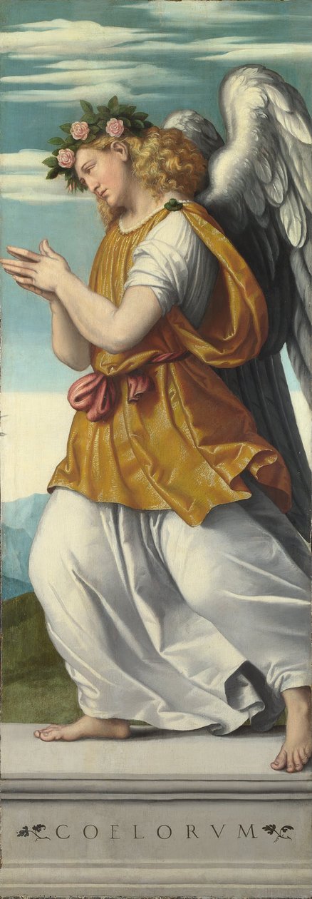 Ein anbetender Engel (1) von Moretto da Brescia