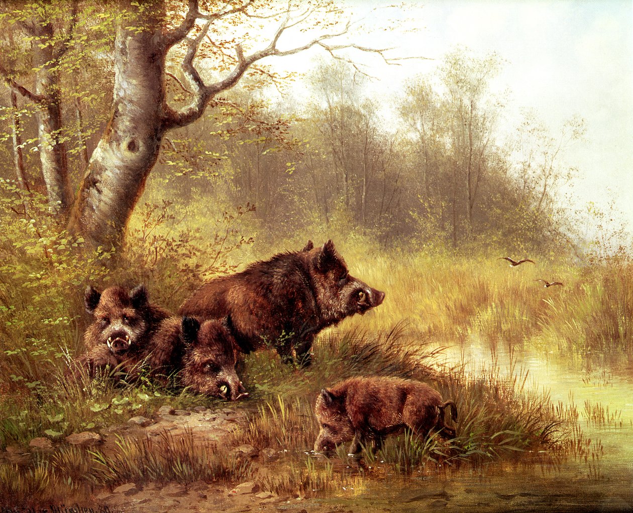 Wildschwein im Schwarzwald, 1880 von Moritz Muller
