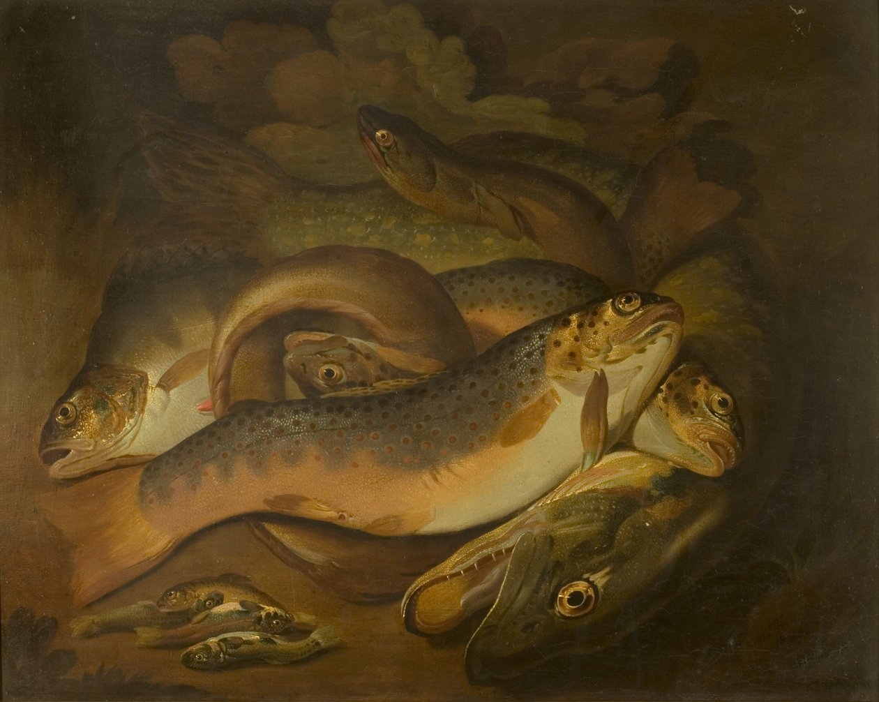 Fische von Moses Haughton