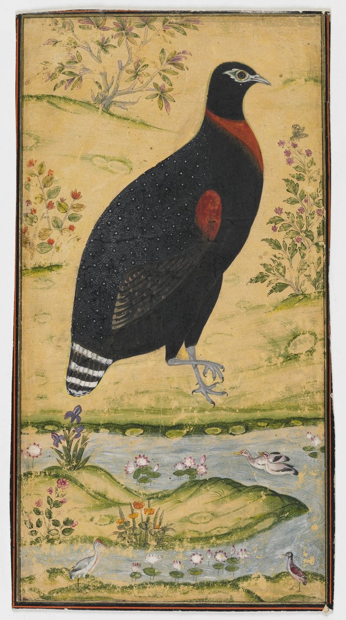 Ein Spurfowl in einer Landschaft, Gemälde, spätes 17. Jahrhundert von Mughal School