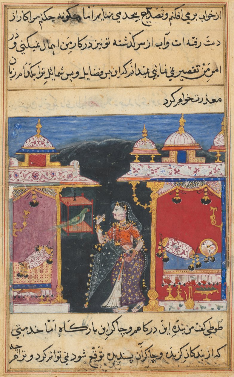 Seite aus Geschichten eines Papageis von Mughal School