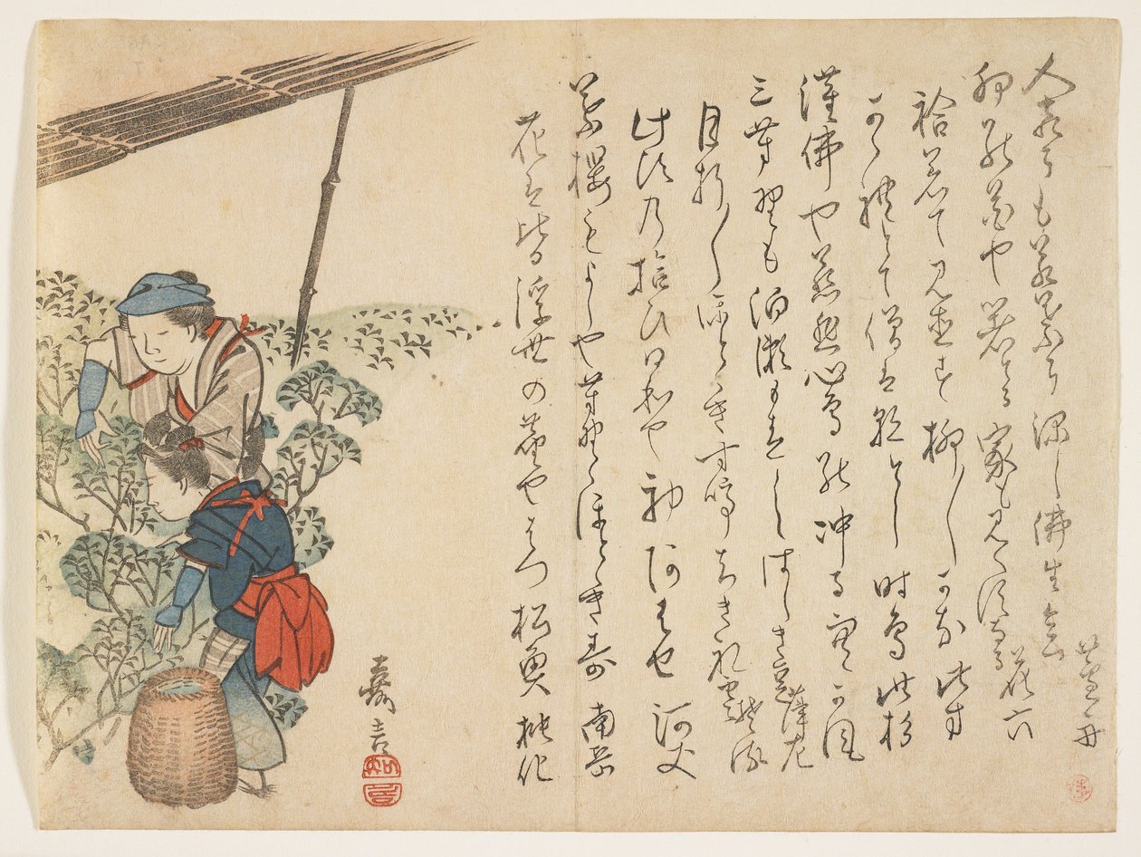 Teepflücker, ca. 1830-44 von Murata Kagen
