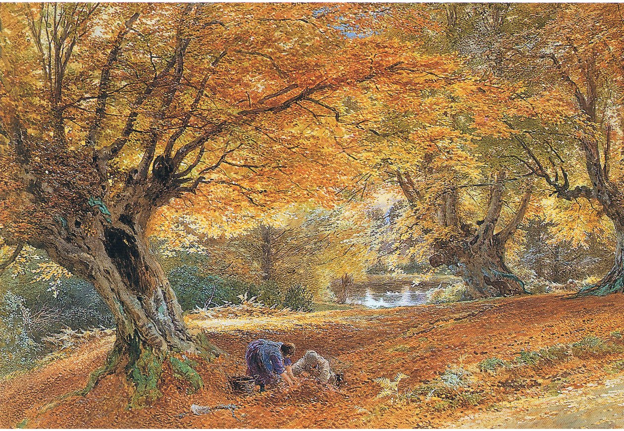 Burnham Beeches von Myles Birket Foster