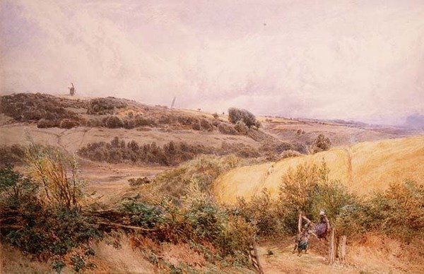 Sommerlandschaft bei Haslemere, Surrey von Myles Birket Foster