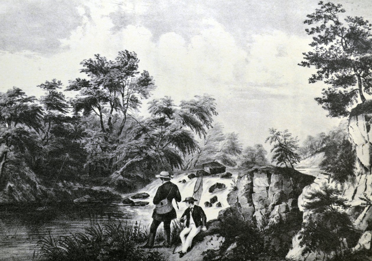 Der Forellenbach von N. and Ives, J.M. Currier
