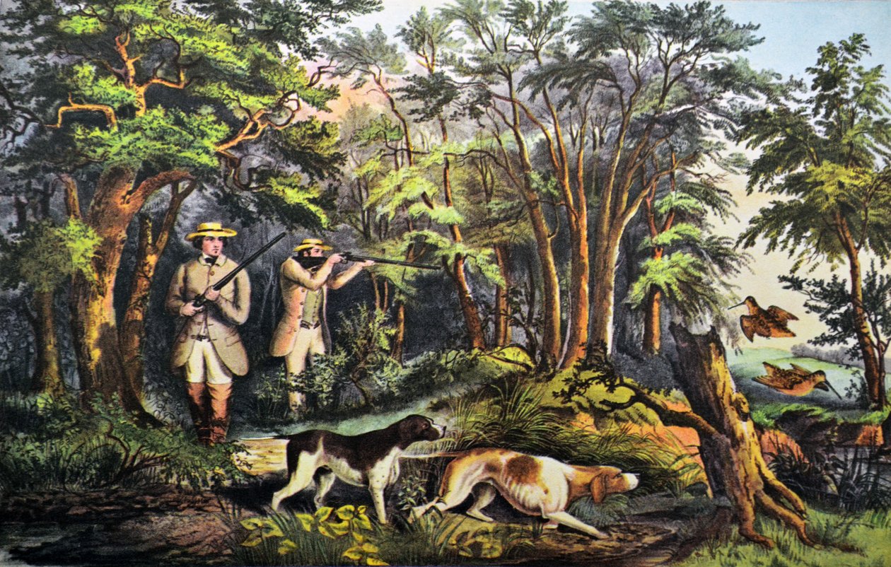 Schnepfenjagd von N. and Ives, J.M. Currier