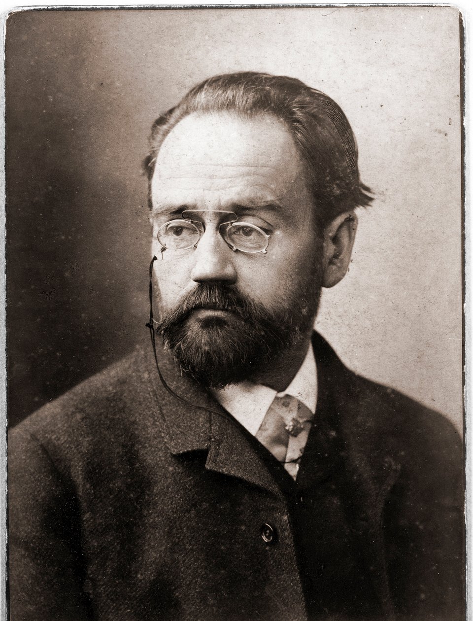 Porträt von Emile Zola von Nadar