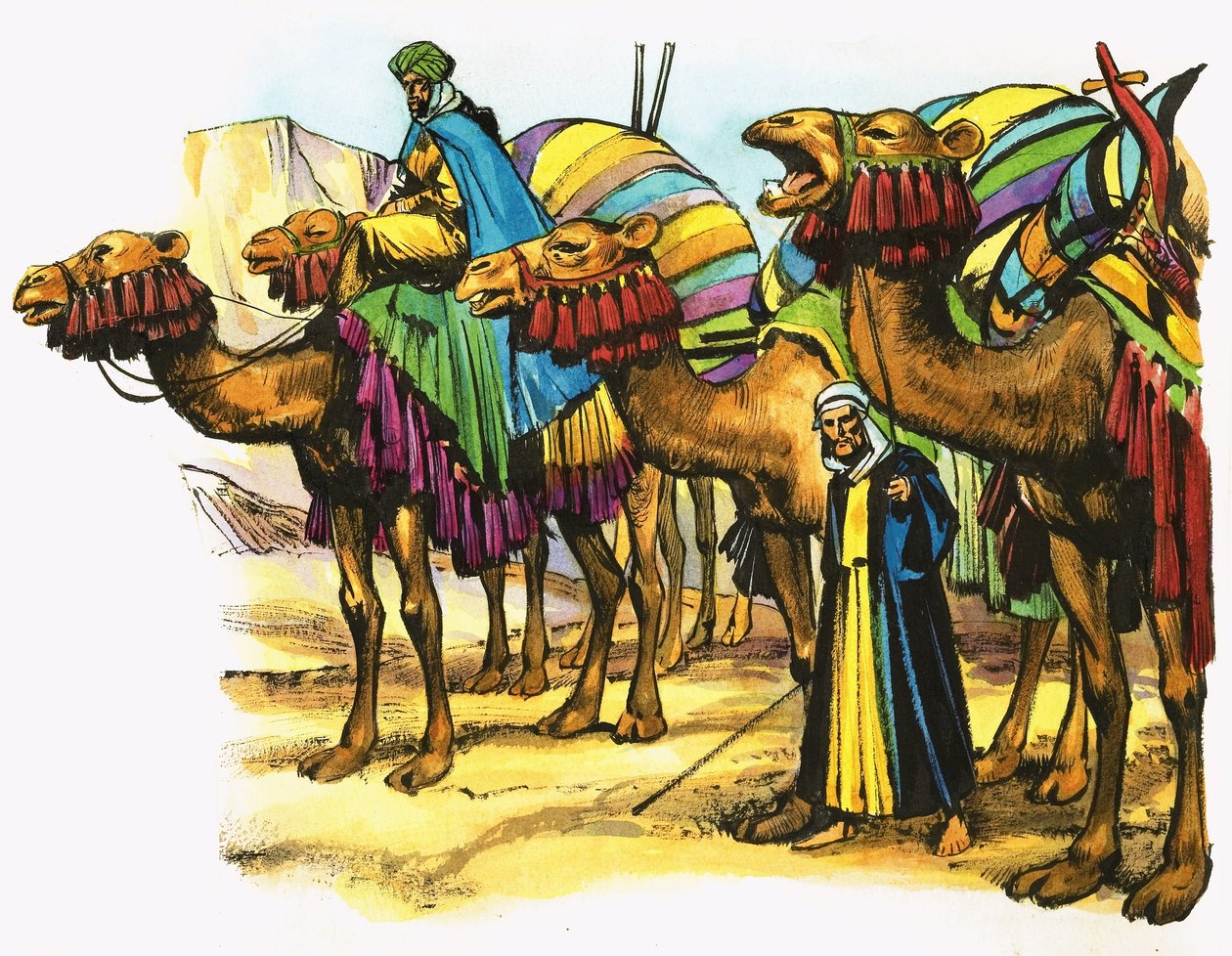 Kamelkarawane in Nordafrika von Nadir Quinto