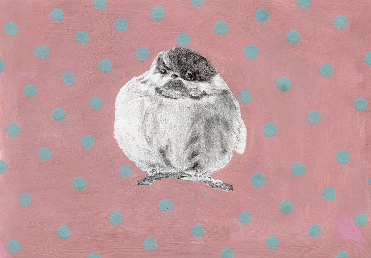 Pummeliges kleines Bündel, 2014 von Nancy Moniz Charalambous