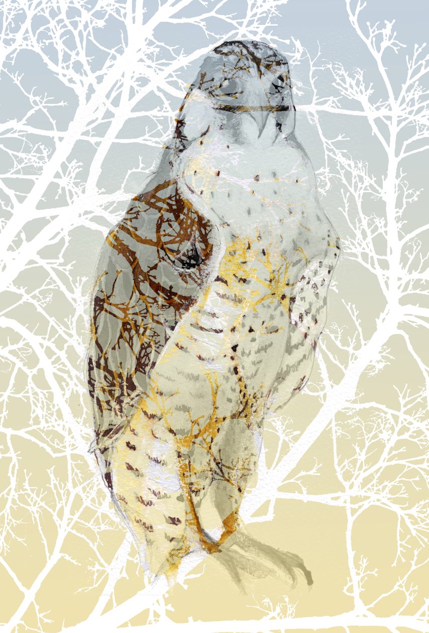 Wanderfalke, 2015 von Nancy Moniz Charalambous