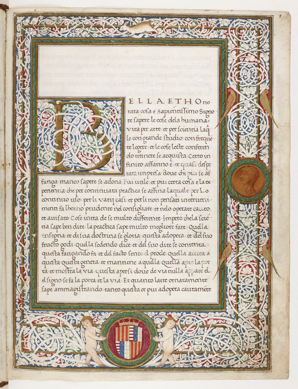 De Majestate von Nardo Rapicano