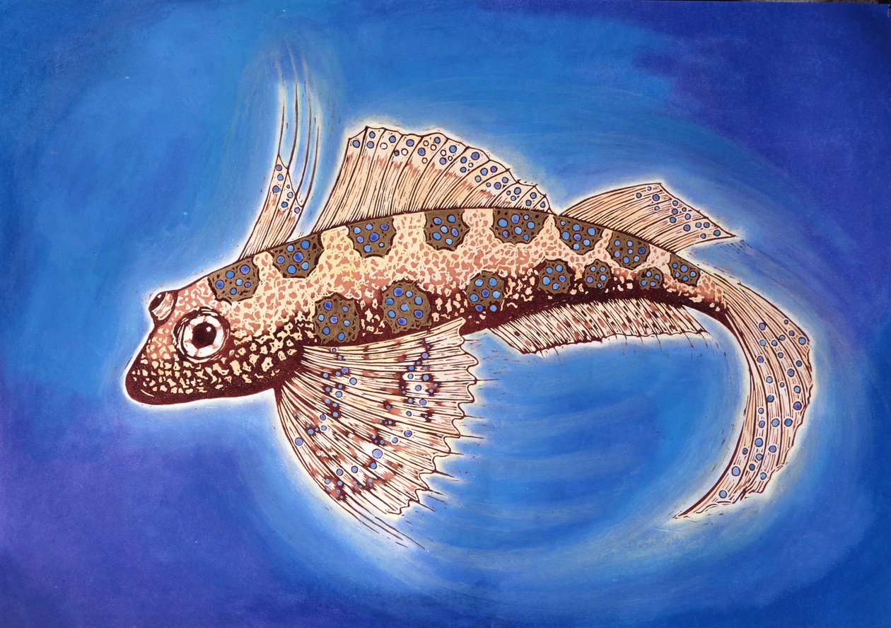 Drachenfisch, 1999 von Nat Morley