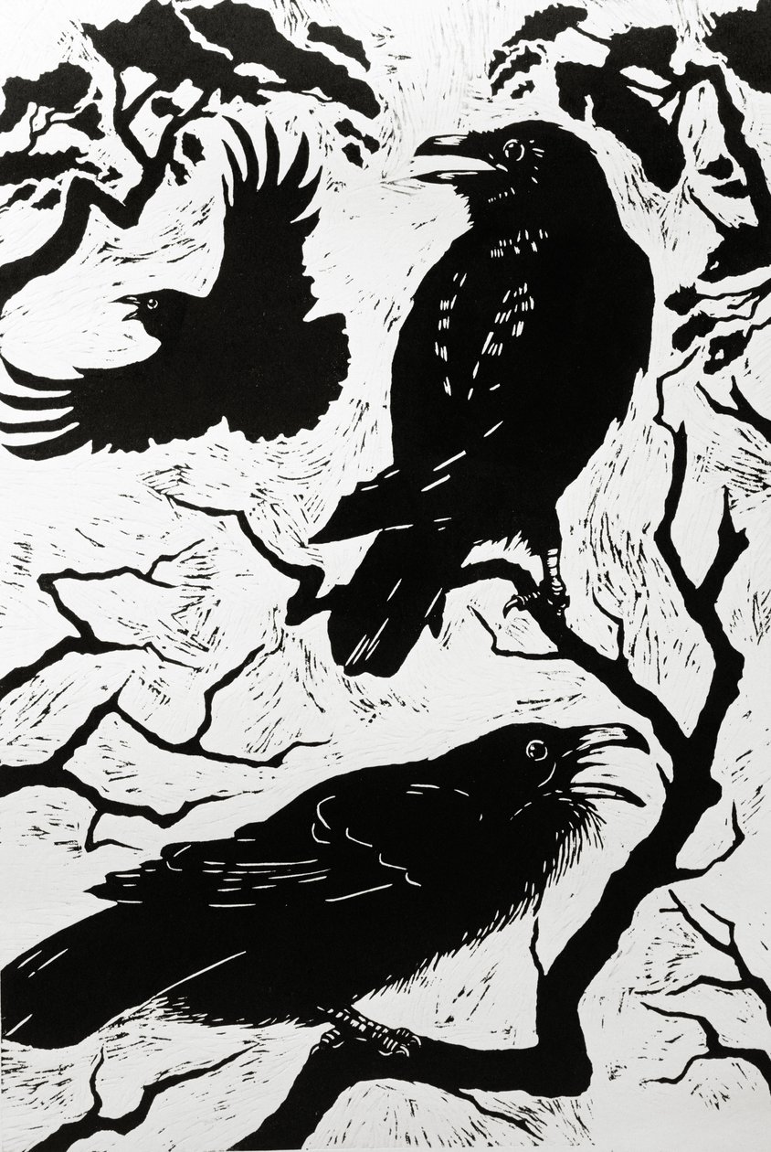 Raben, 1998 von Nat Morley