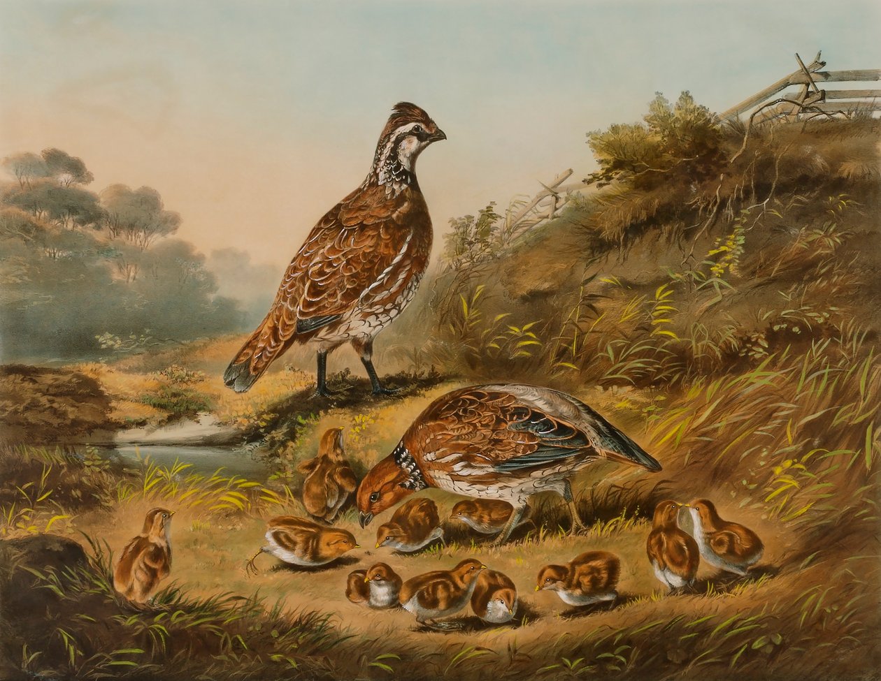 Die Sorgen einer Familie von Nathaniel Currier