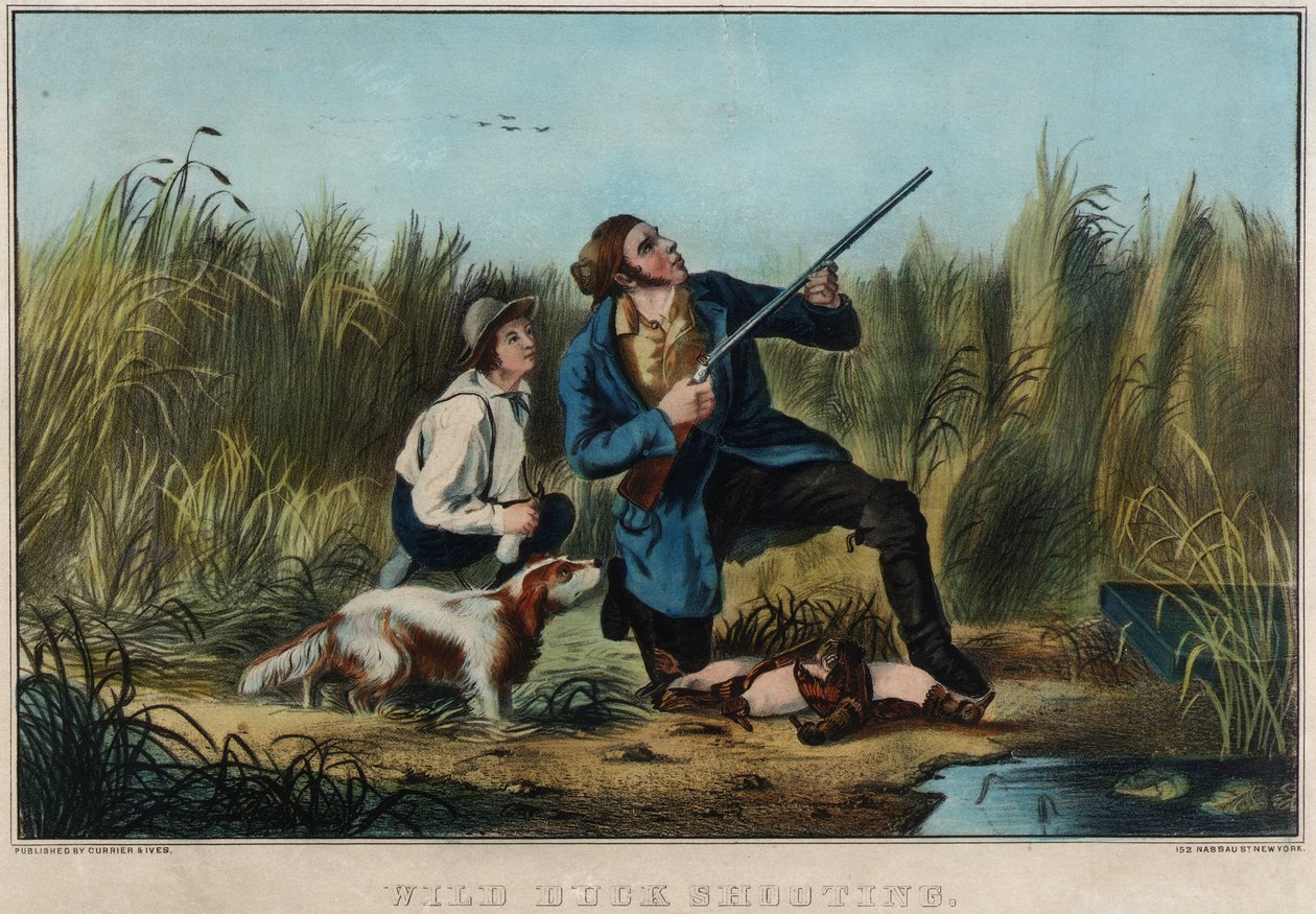 Wildentenjagd von Nathaniel Currier