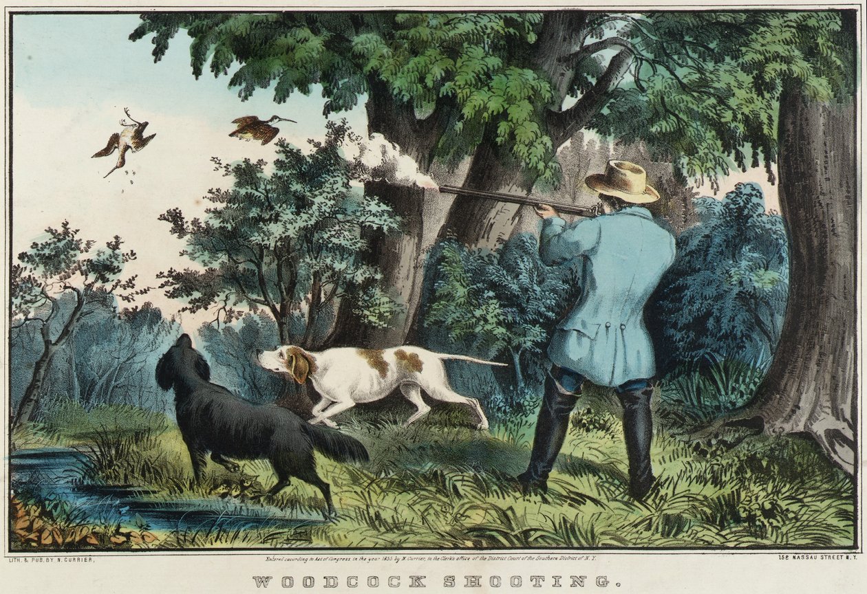 Schnepfenjagd von Nathaniel Currier