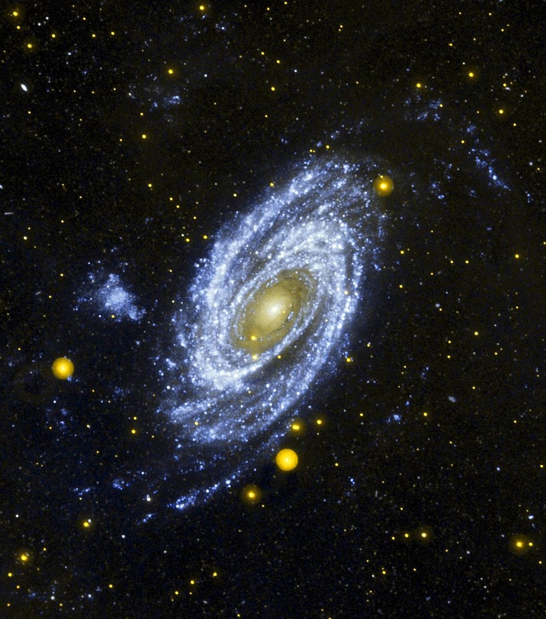 Spiralgalaxie M81 vom Hubble-Weltraumteleskop gesehen. NASA. Wissenschaft Astronomie Stellar von National Aeronautics and Space Administration National Aeronautics and Space Administration