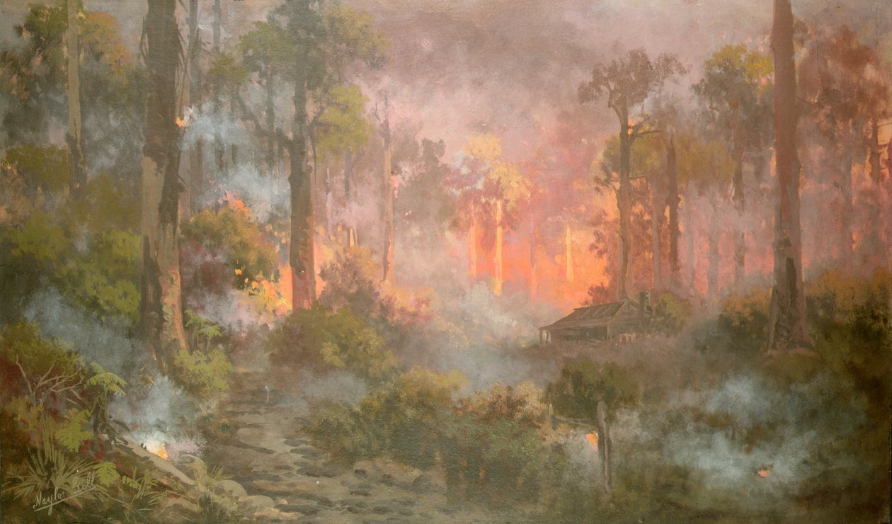Buschfeuer von Naylor Gill