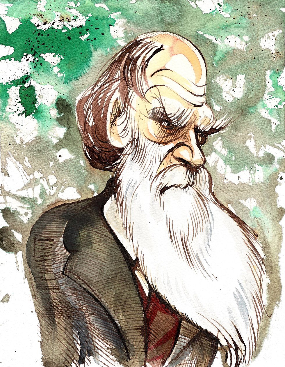 Charles Darwin (englischer Naturforscher und Schriftsteller, 1809-82) Karikatur in Farbe von Neale Osborne