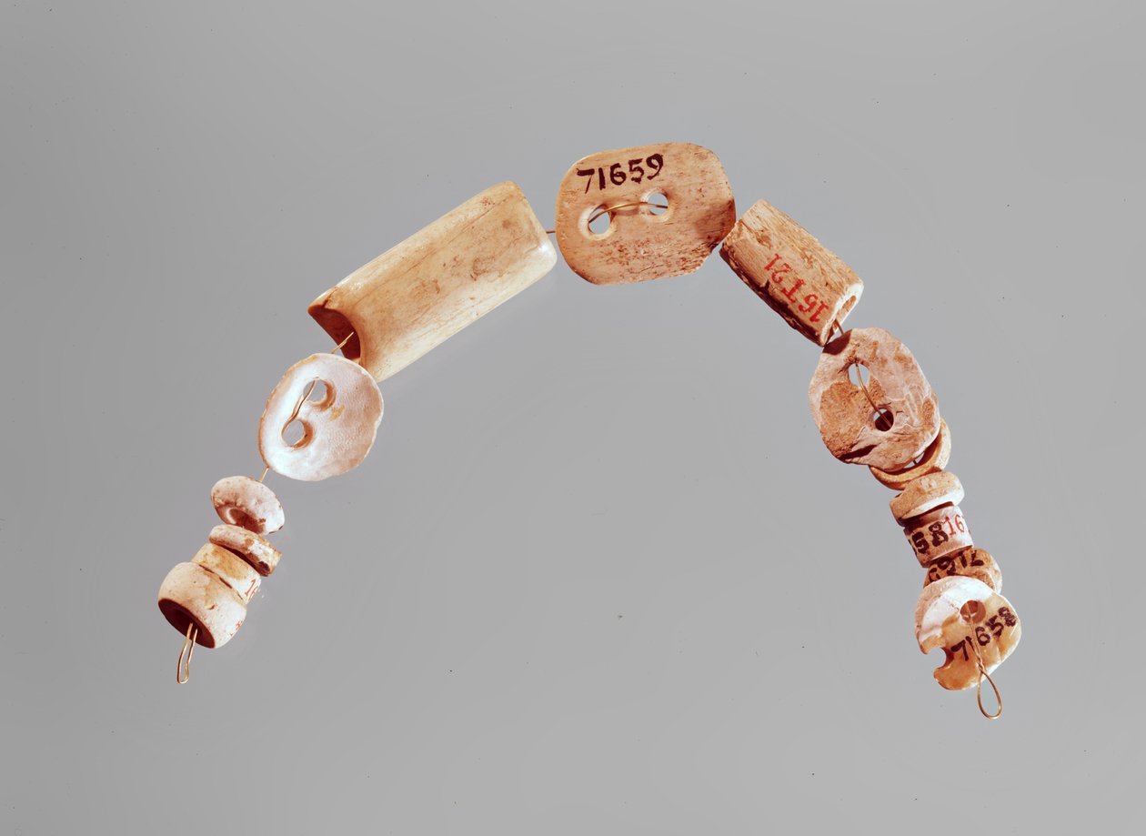 Halskette oder Armband, Seine-Oise-Marne-Kultur, 2800-2000 v. Chr. (Knochen und Kalkstein) von Neolithic