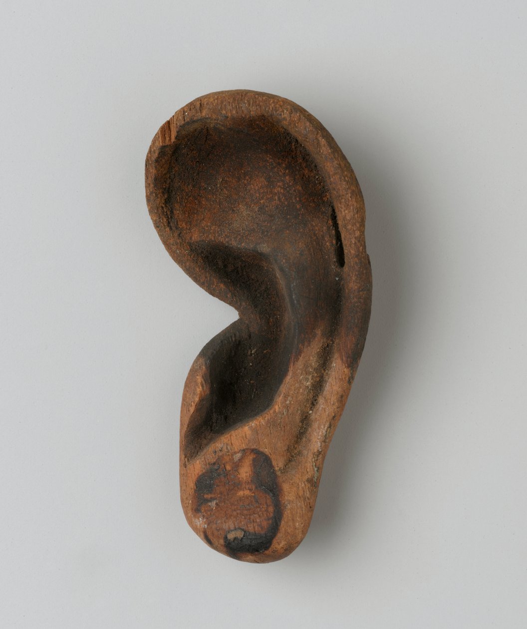Ohr von New Kingdom Egyptian