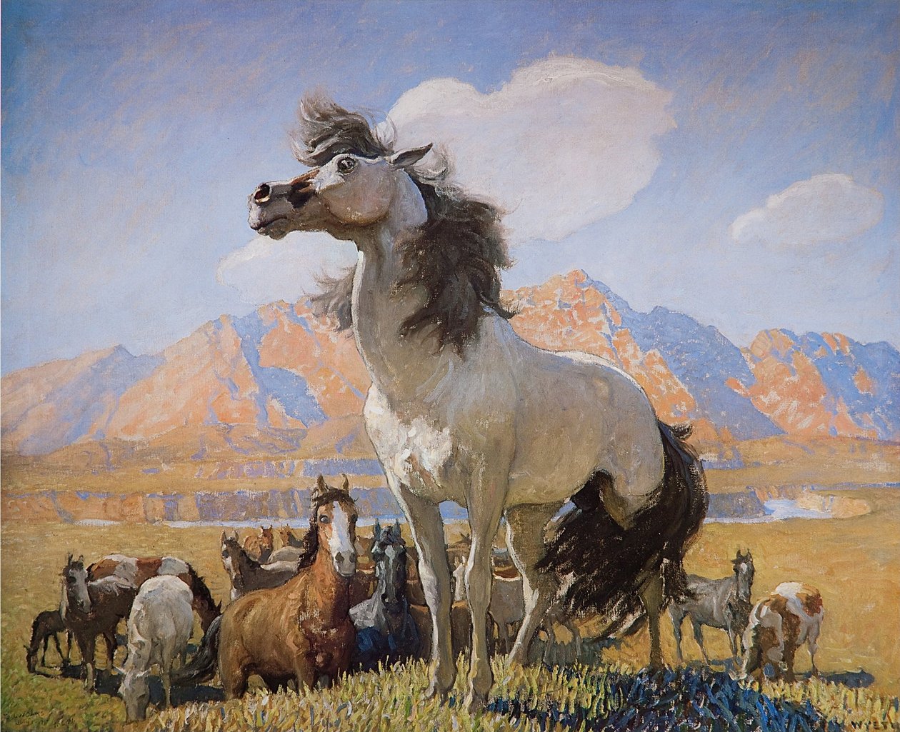 Smokey Face von Newell Convers Wyeth