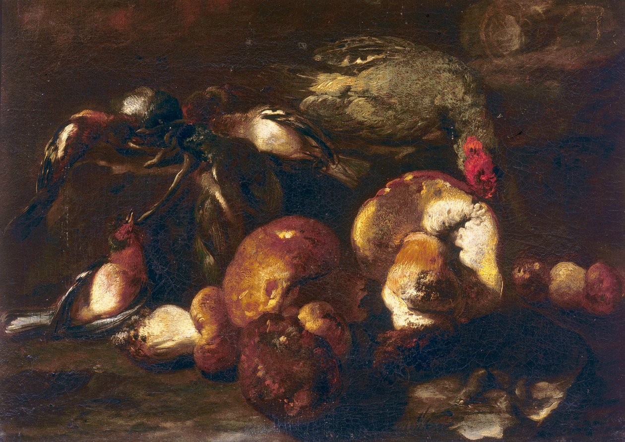 Vögel und Pilze von Nicasius 1620 78 Bernaerts