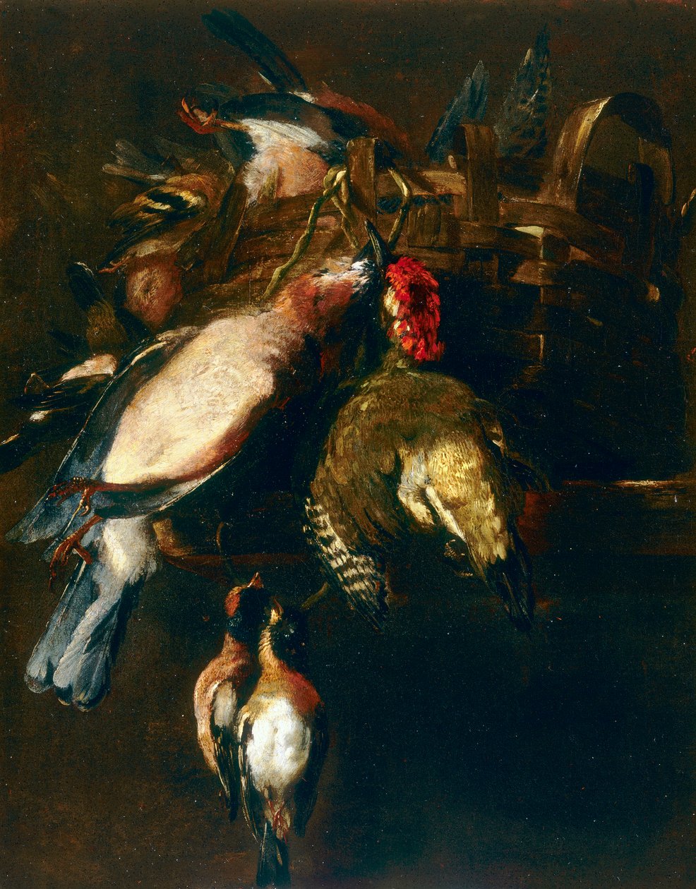 Stillleben mit Bandwurm, einer Walze und zwei Finken von Nicasius 1620 78 Bernaerts