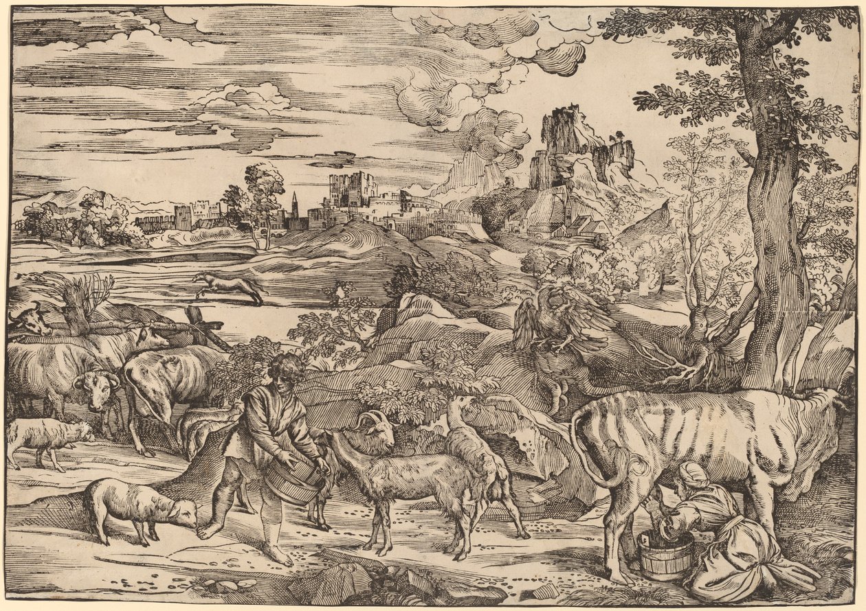 Landschaft mit einer Milchmagd von Niccolò Boldrini after Titian