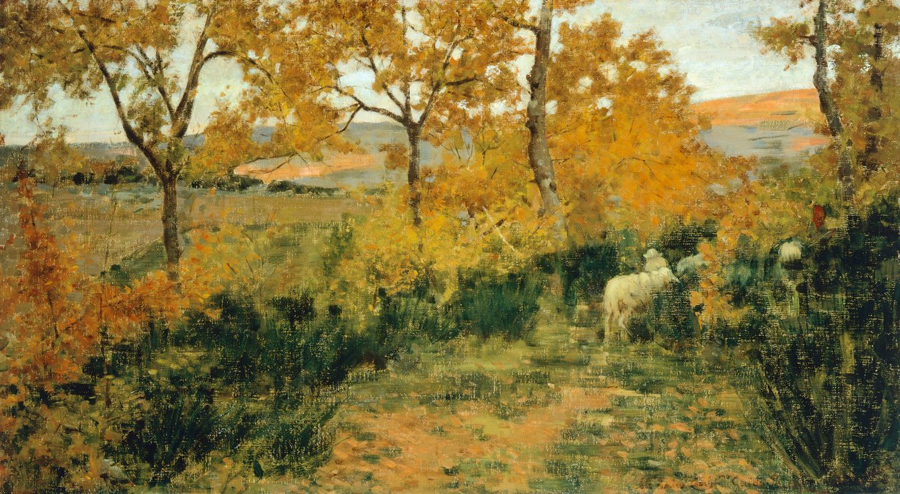 Goldener Wald in Montemiccioli von Niccolo Cannicci
