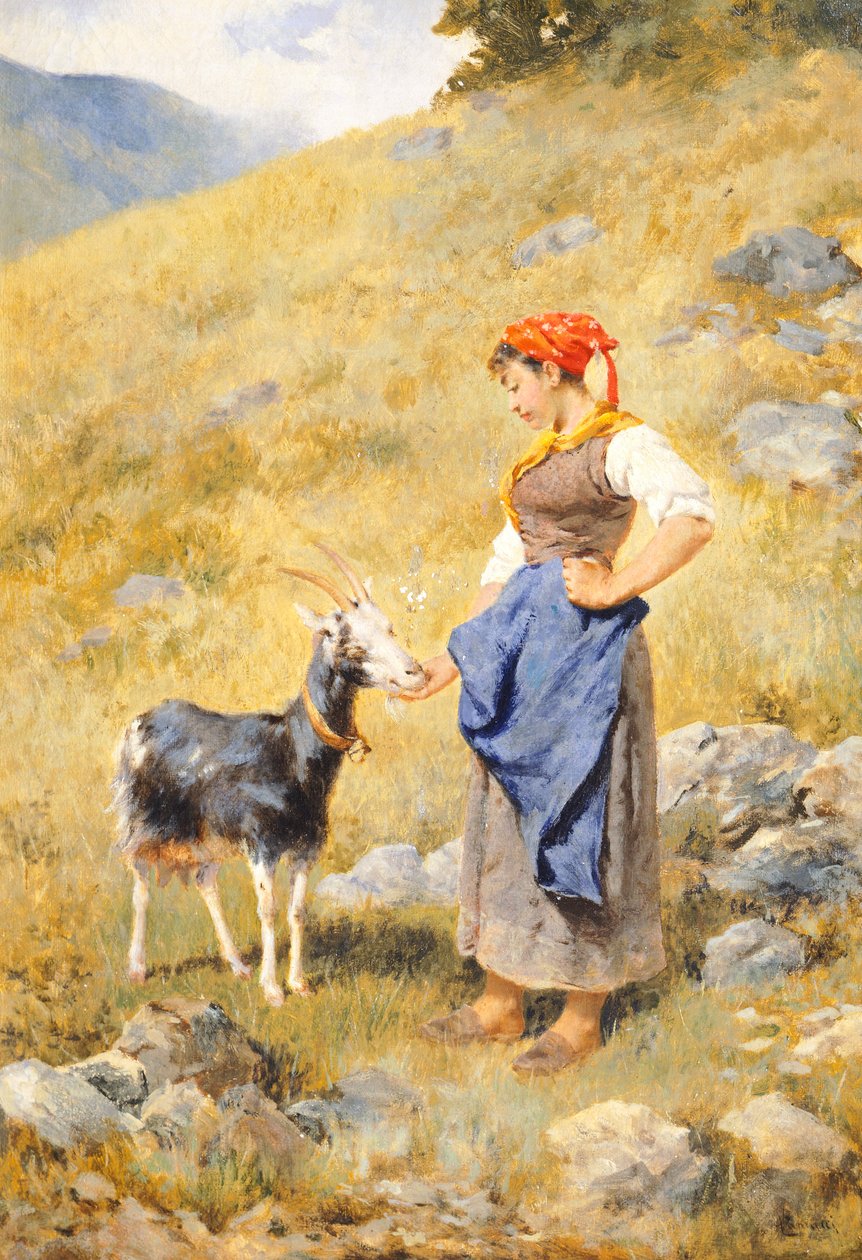 Hirtin, von Niccolo Cannicci (1846-1906) von Niccolo Cannicci