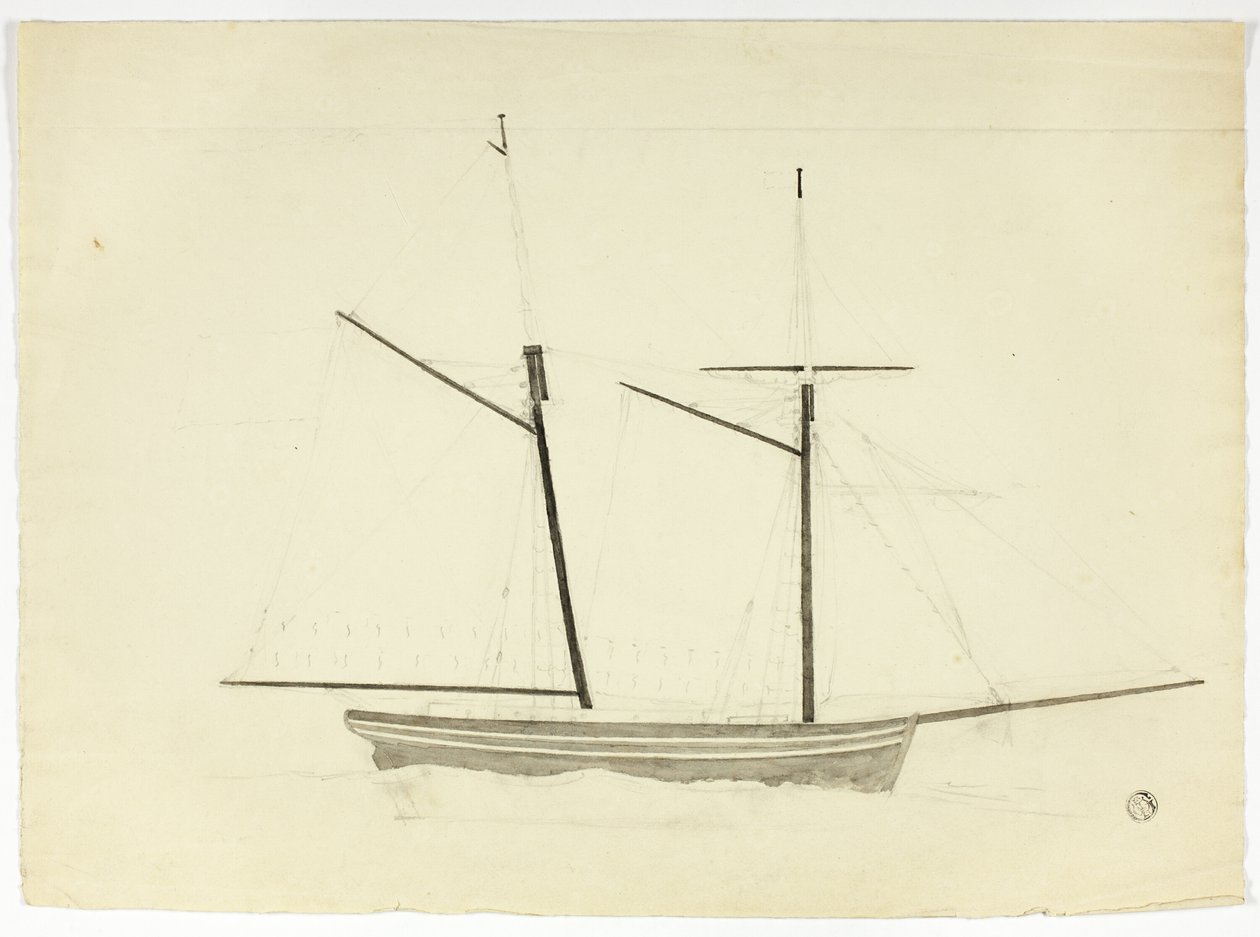 Walfänger von Nicholas Pocock