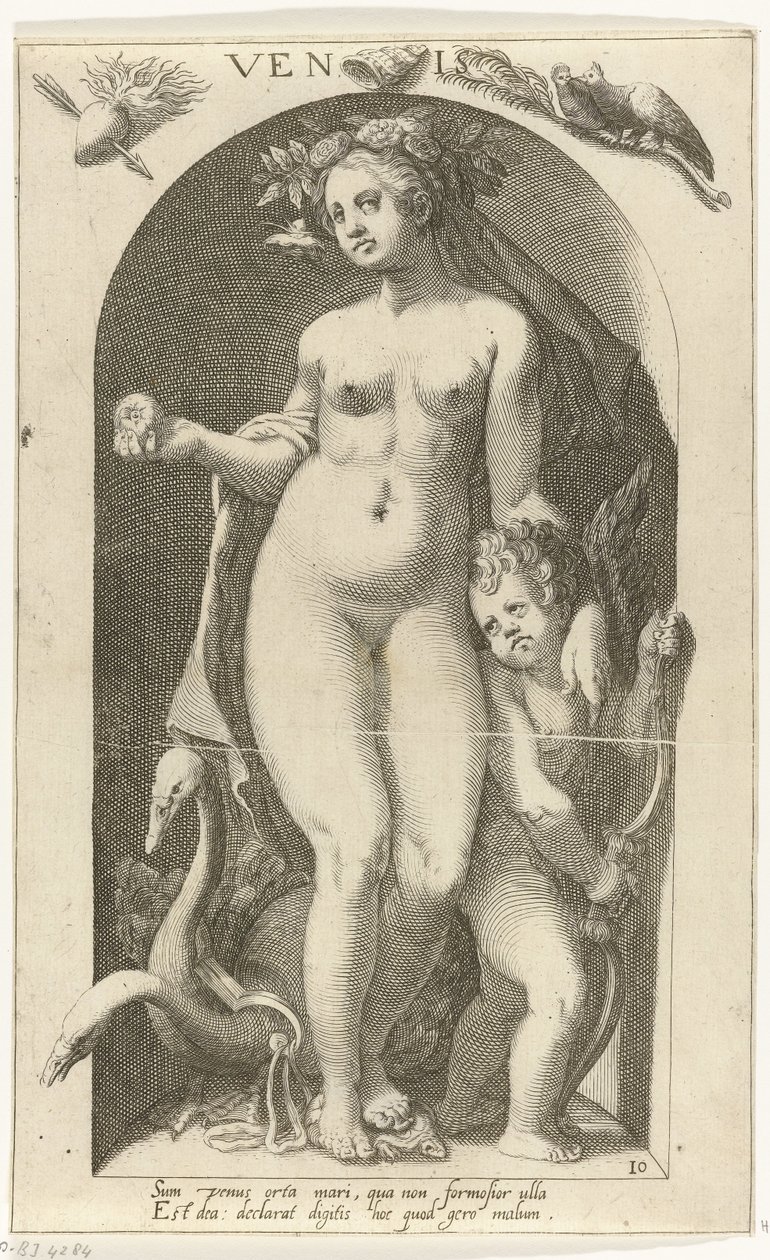 Venus von Nicolaas Braeu