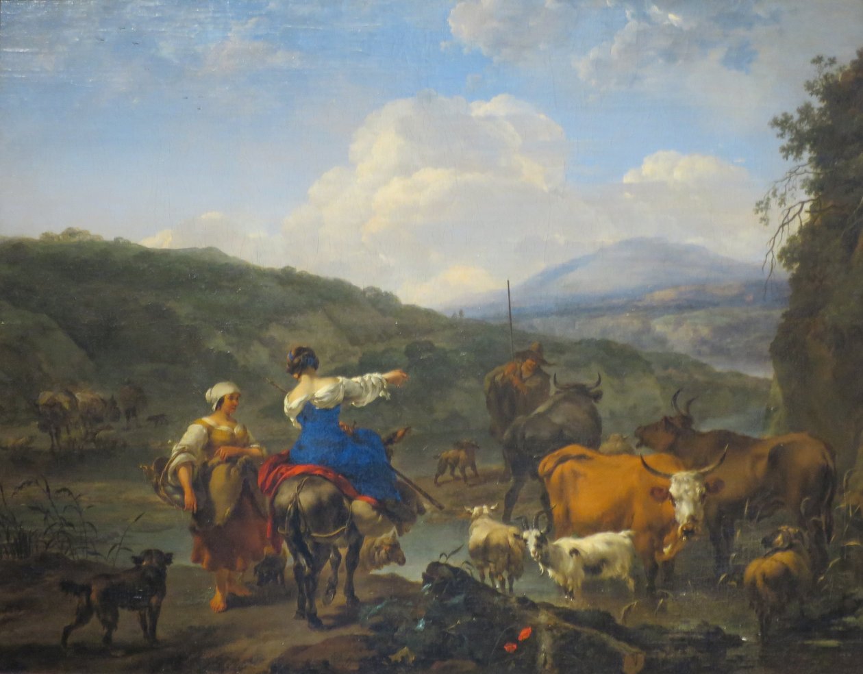 Rinder an einem Wasserplatz von Nicolaes Pieterszoon Berchem