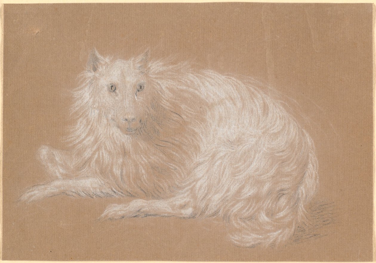 Ein liegender langhaariger Hund von Nicolai Abildgaard