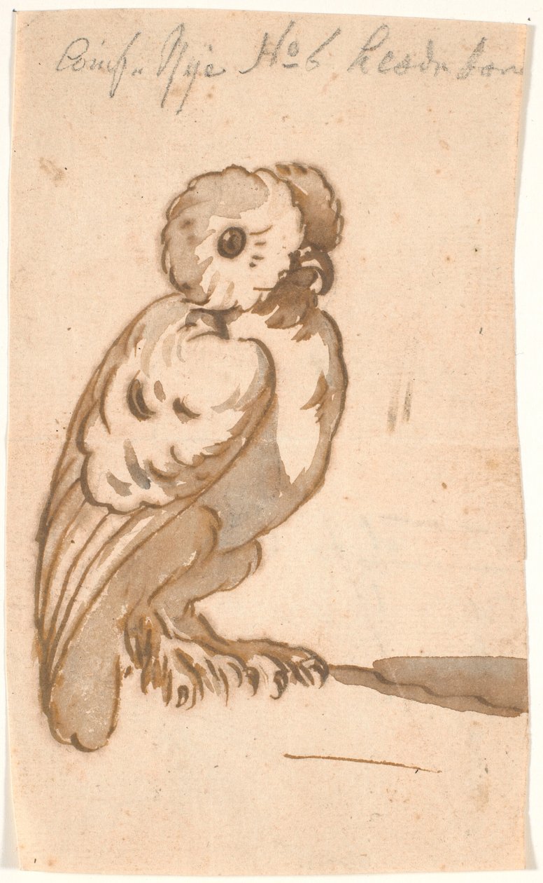 Eine Eule von Nicolai Abildgaard
