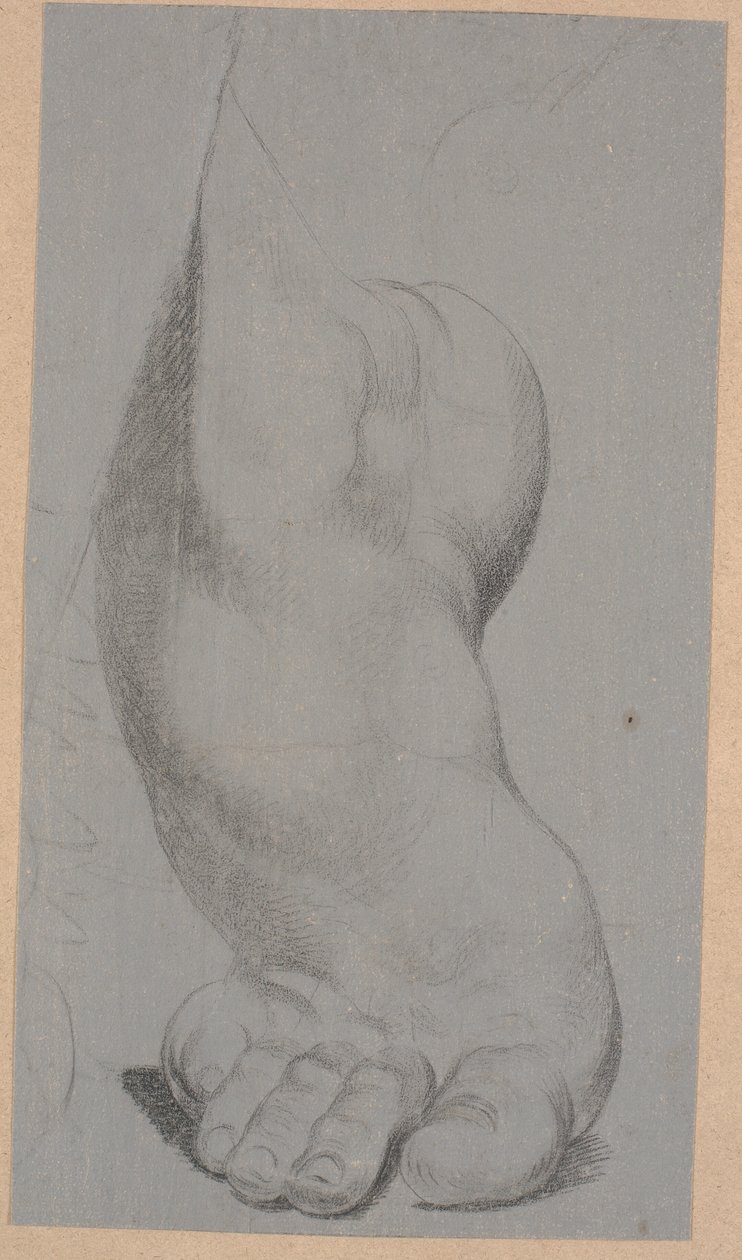 Studie eines Fußes von Nicolai Abildgaard
