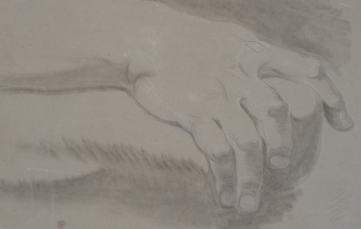 Studie einer Hand von Nicolai Abildgaard