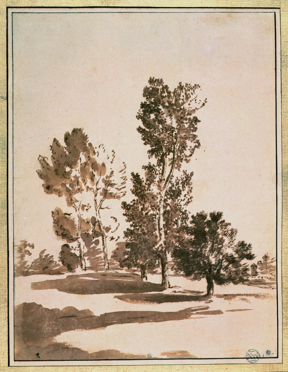 Baumstudie von Nicolas Poussin