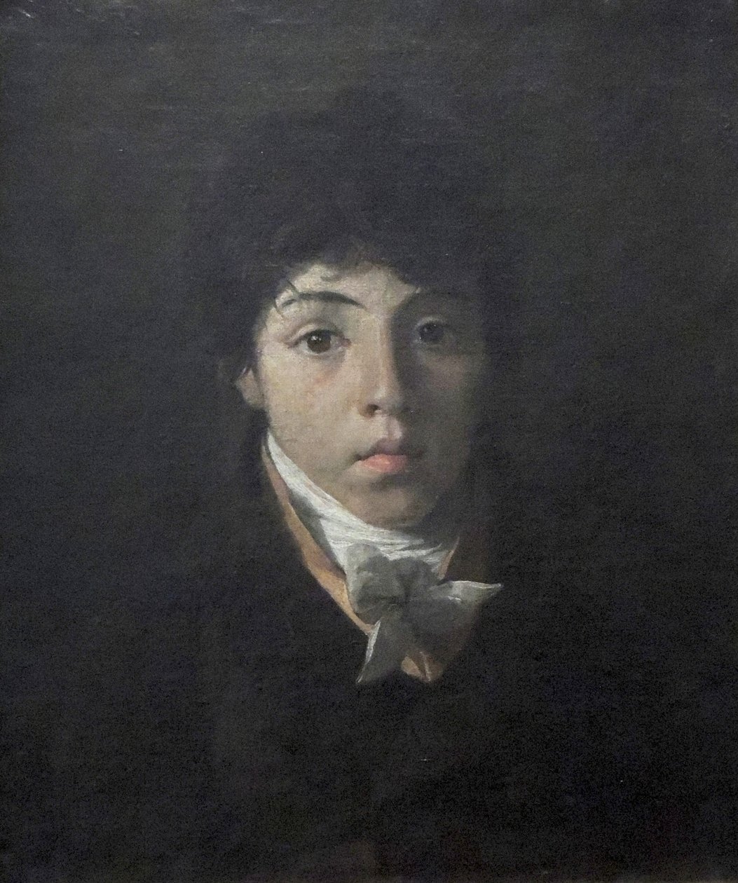 Porträt des jungen Teodoro Taunay von Nicolas Antoine Taunay