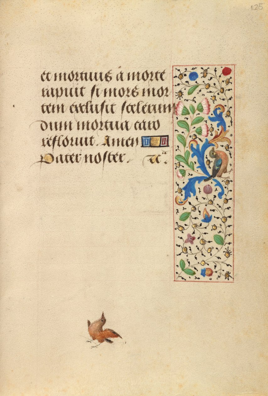 Geschmückte Textseite von Nicolas Spierinc