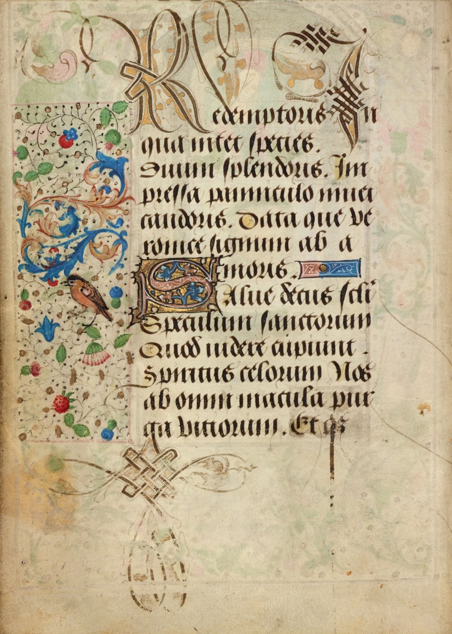 Dekorierte Textseite von Nicolas Spierinc