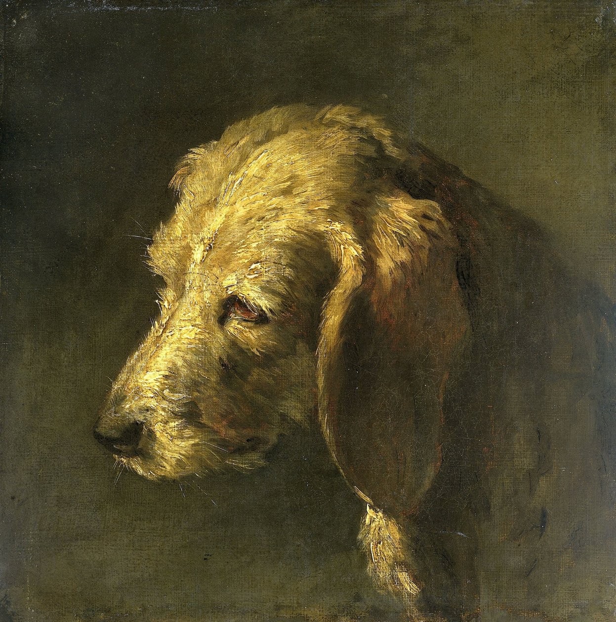 Kopf eines Hundes von Nicolas Toussaint Charlet (attributed to)
