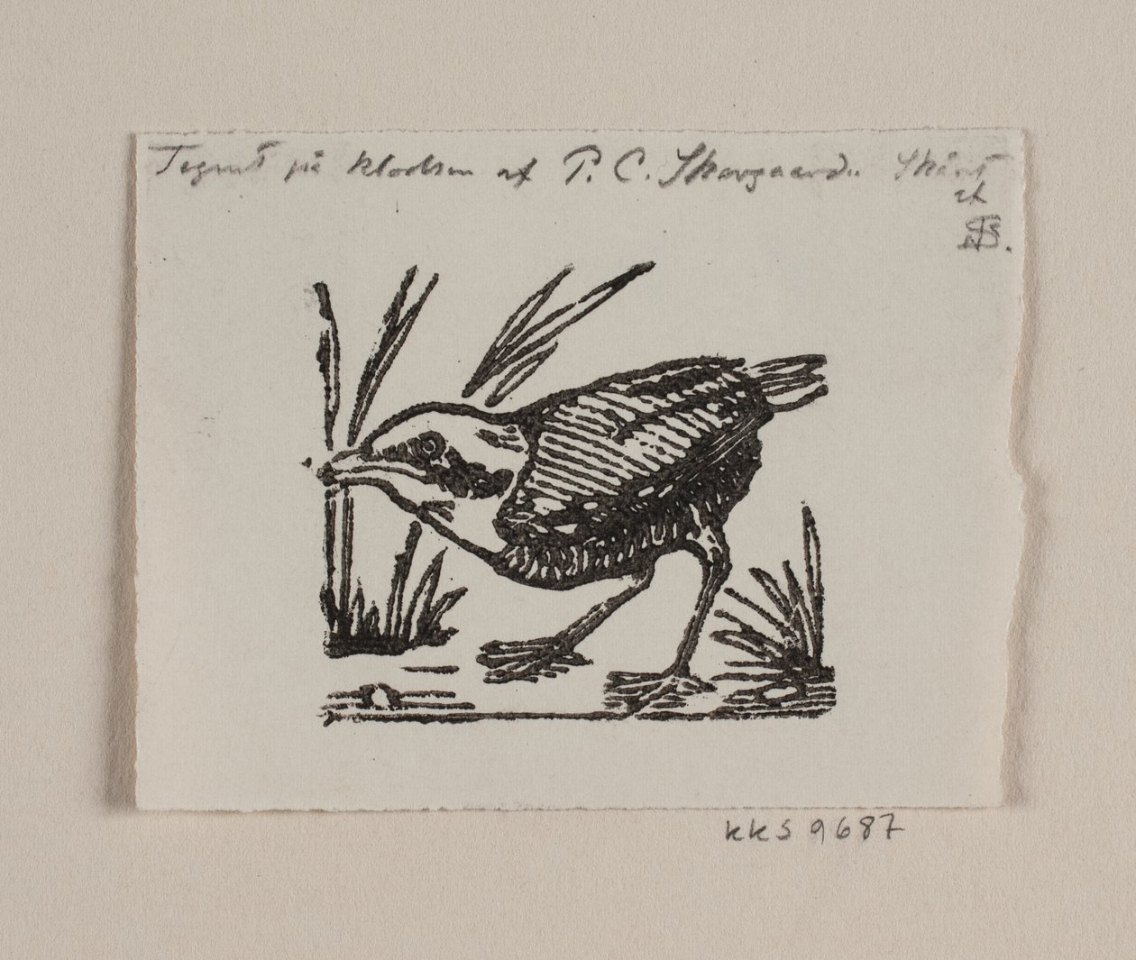 Ein Vogeljunges von Niels Skovgaard