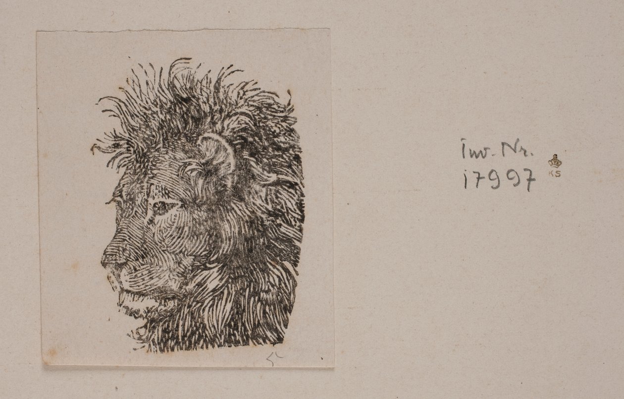 Ein Löwenkopf von Niels Skovgaard