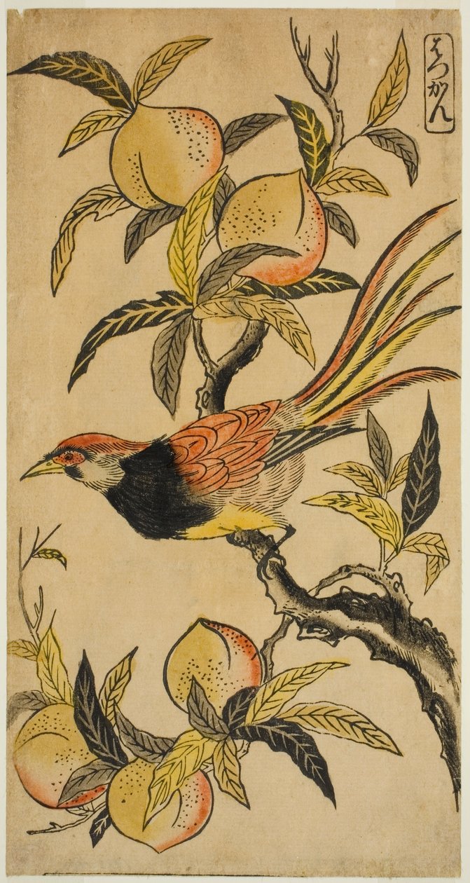 Silberfasan (Hakkan) von Nishimura Shigenaga
