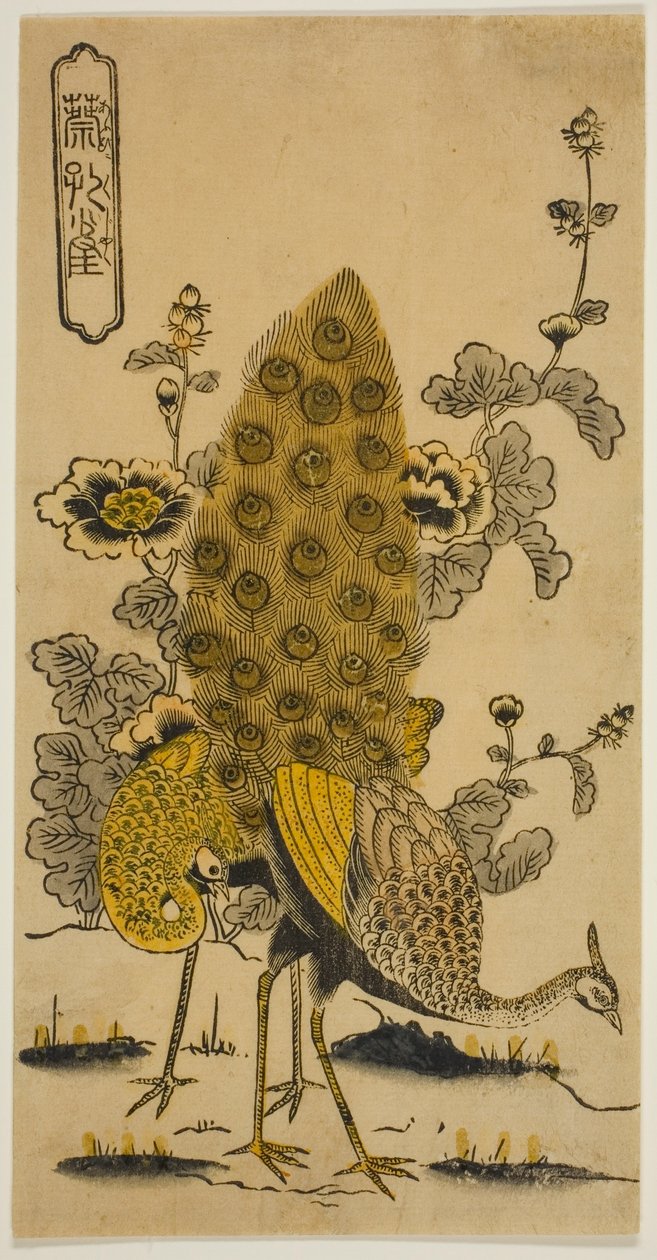Stockrosen und Pfauen (Aoi ni kujaku) von Nishimura Shigenobu