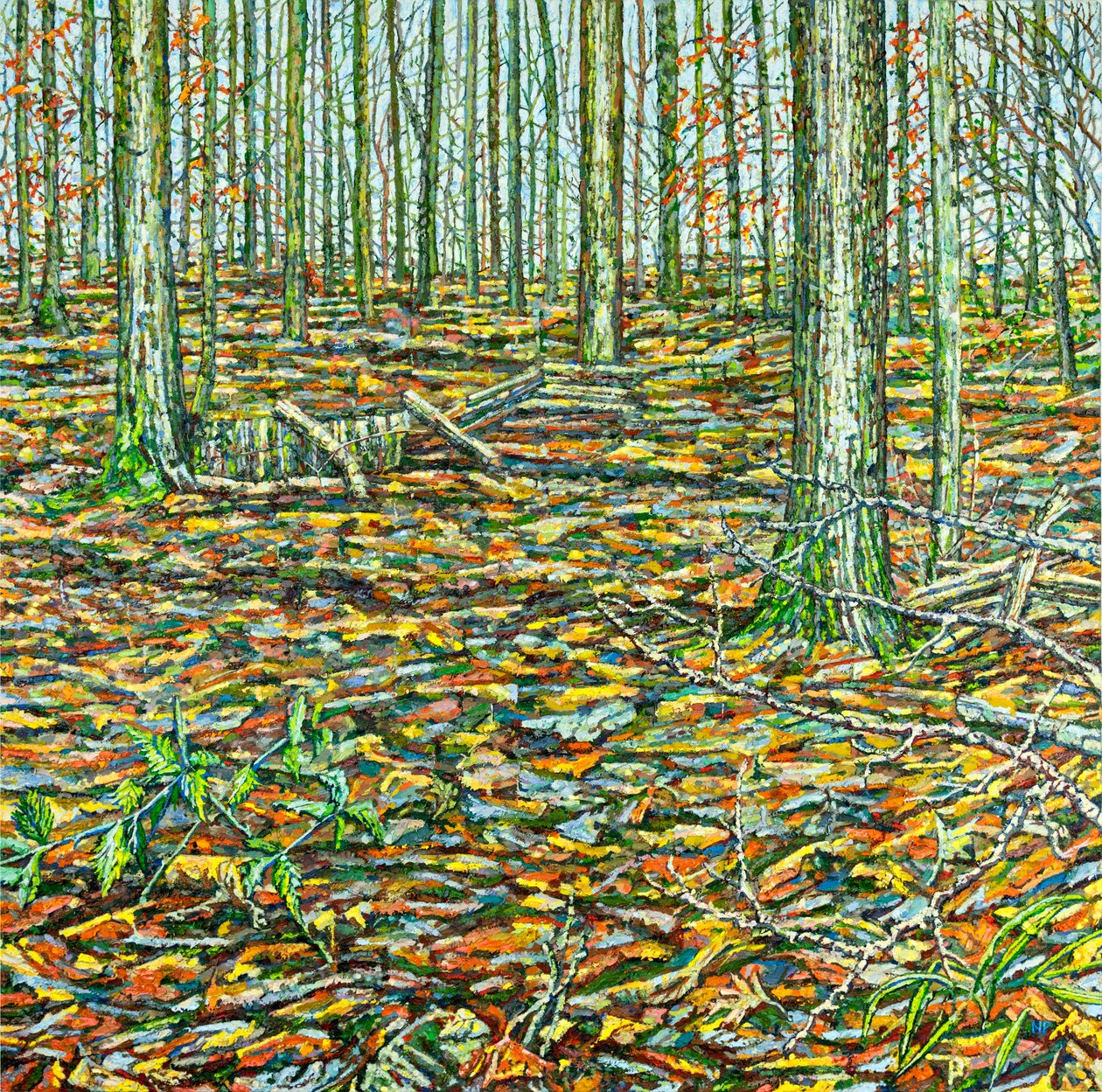 Orches Groundscape von Noel Paine