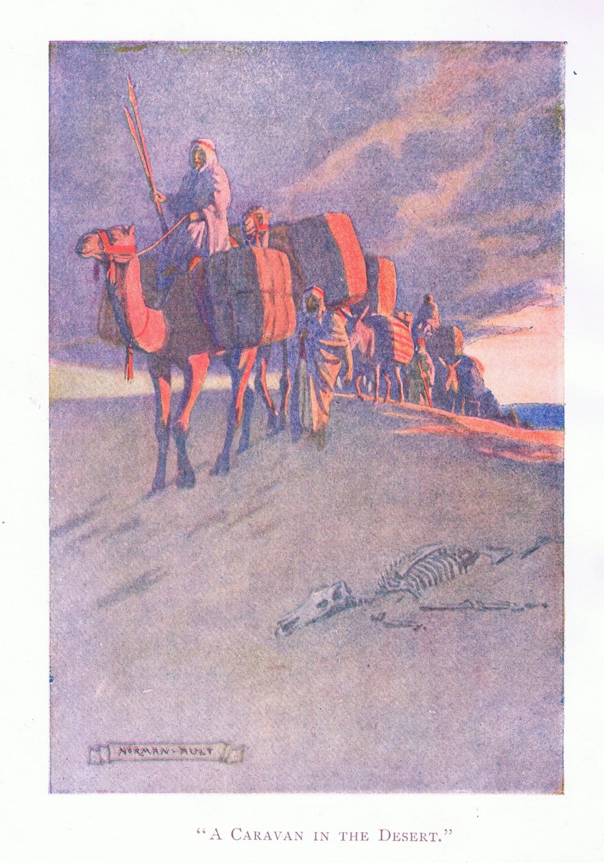 Eine Karawane in der Wüste von Norman Ault